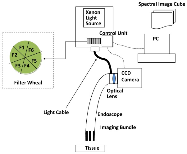 Fig. 1