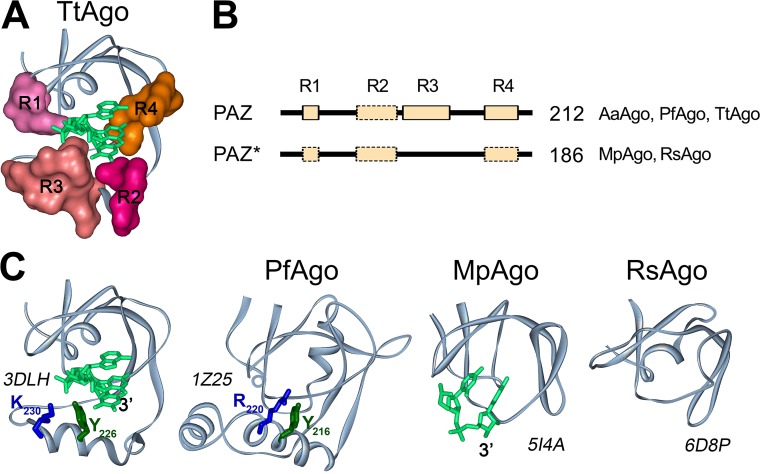 FIG 4