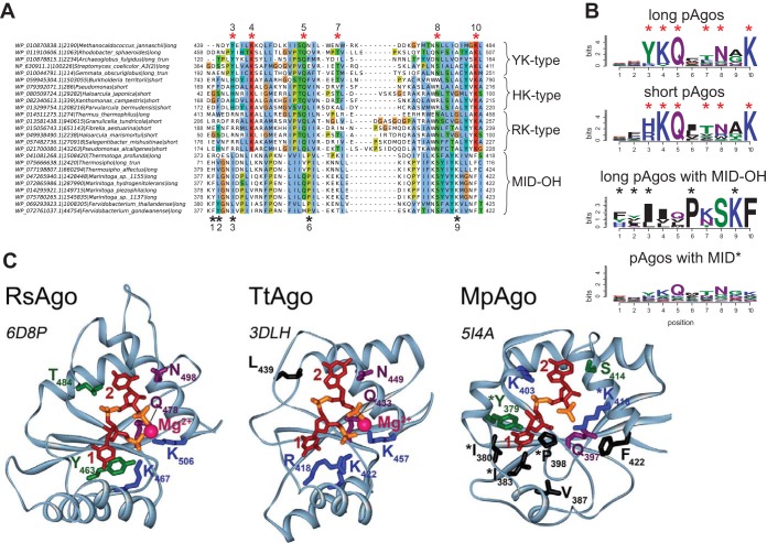 FIG 3