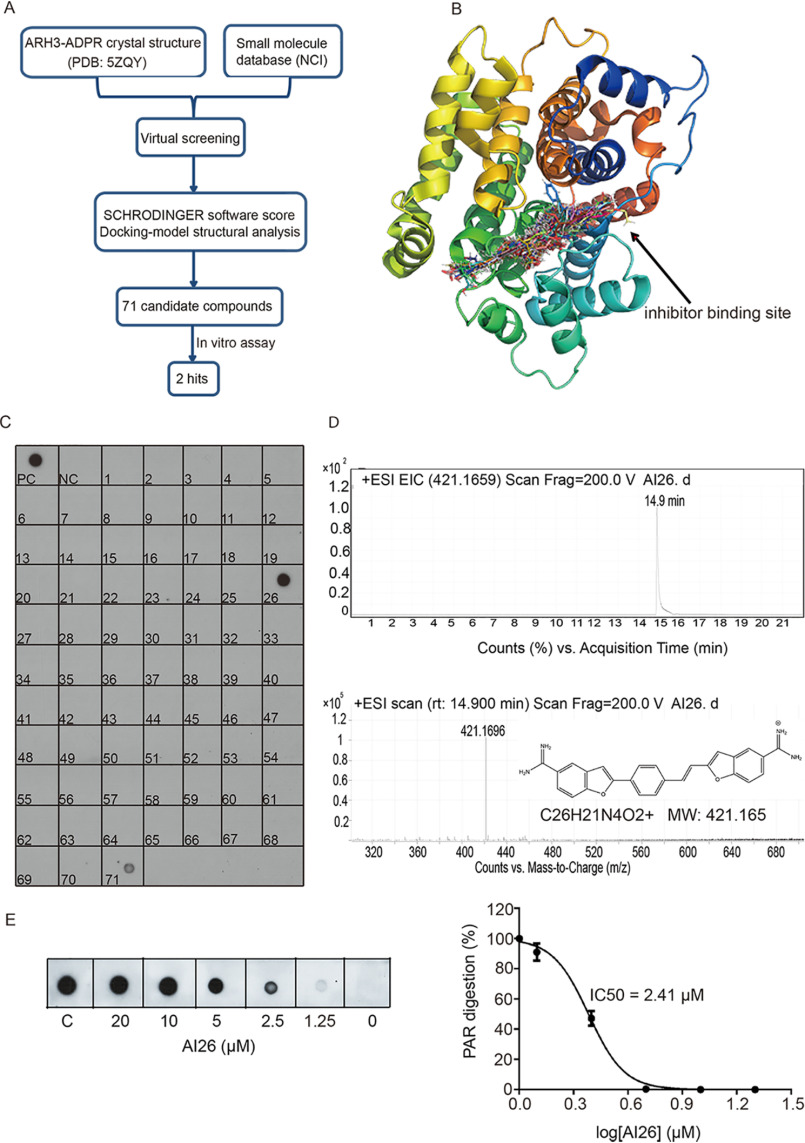 Figure 1.