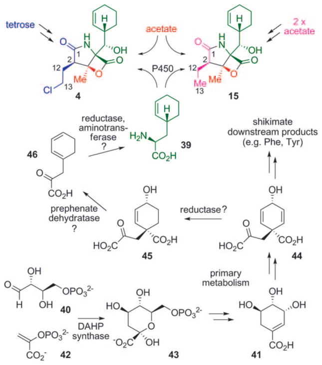 Scheme 4