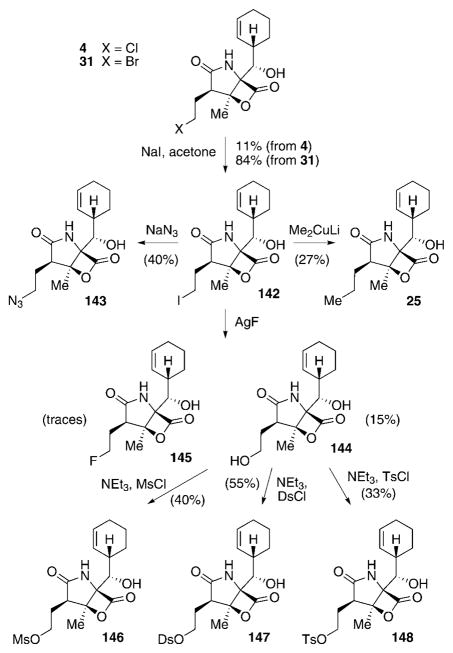 Scheme 17