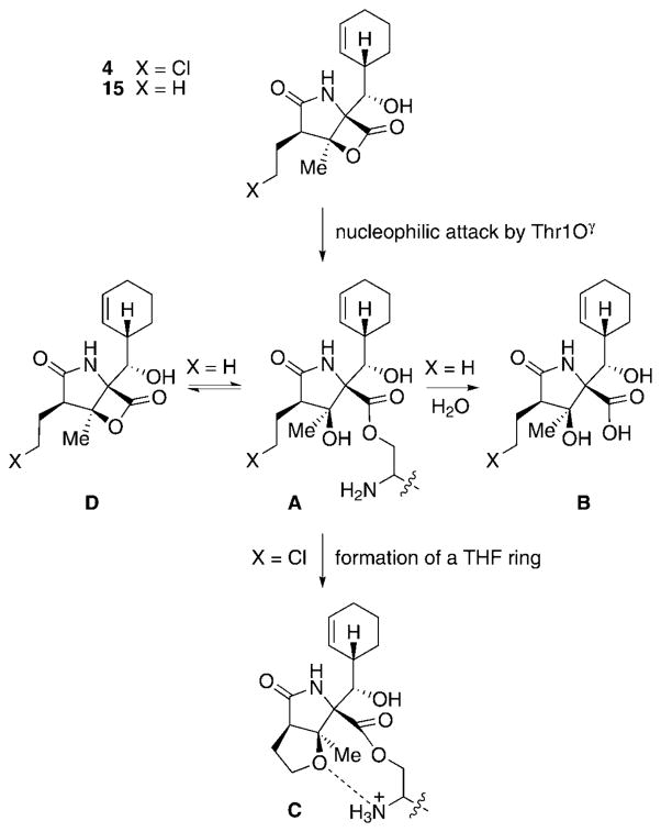 Scheme 16