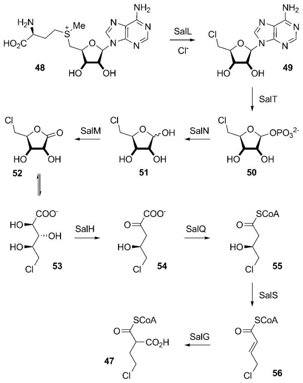 Scheme 6