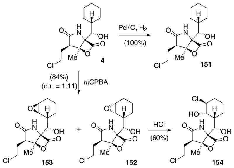 Scheme 19