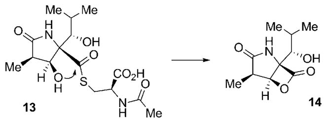 Scheme 2