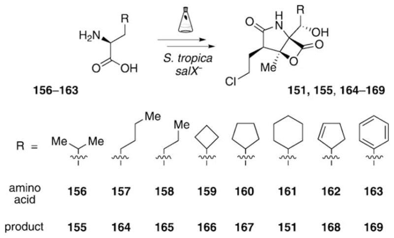 Scheme 20