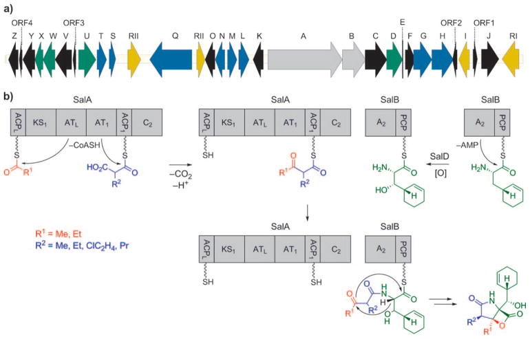 Scheme 5