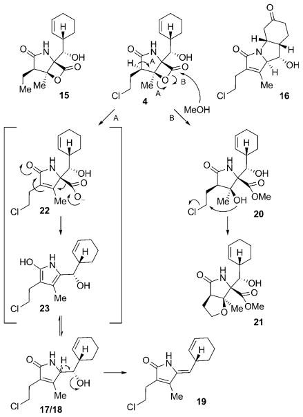 Scheme 3