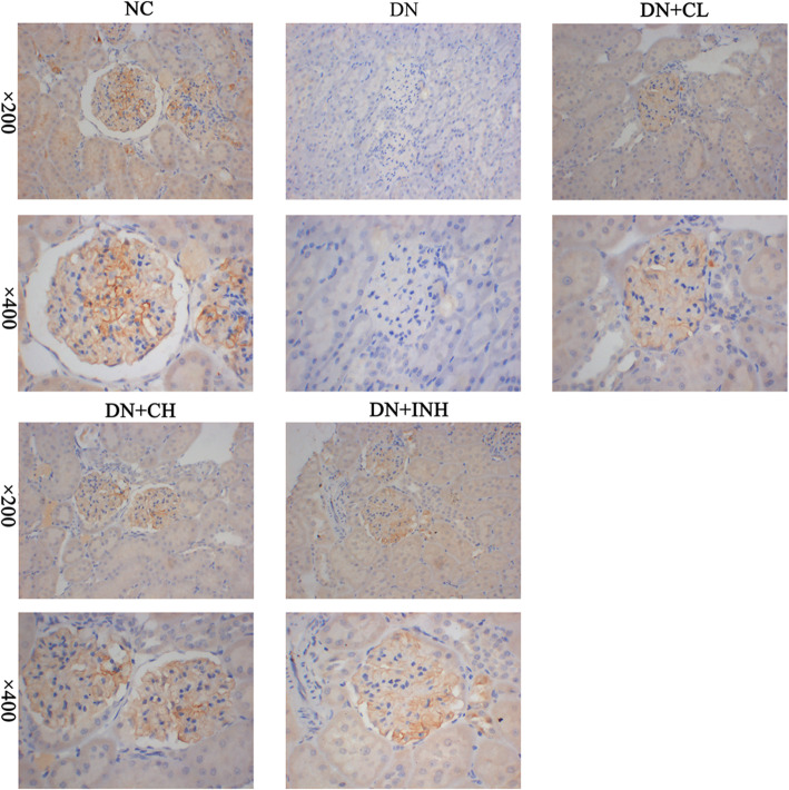 Fig. 10