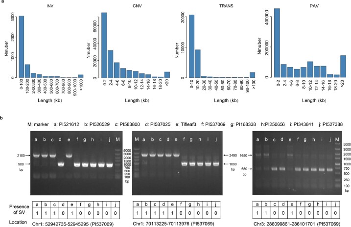 Extended Data Fig. 5