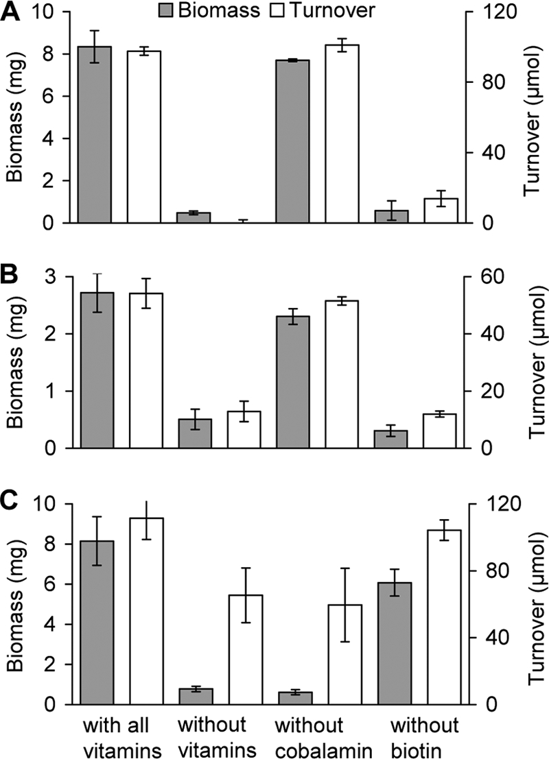 Fig 6