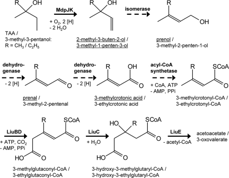 Fig 8