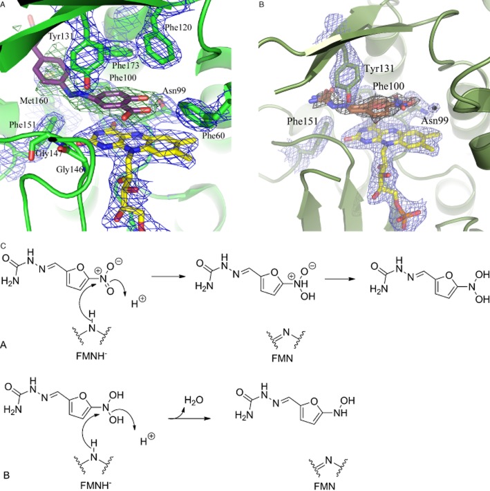 Figure 10