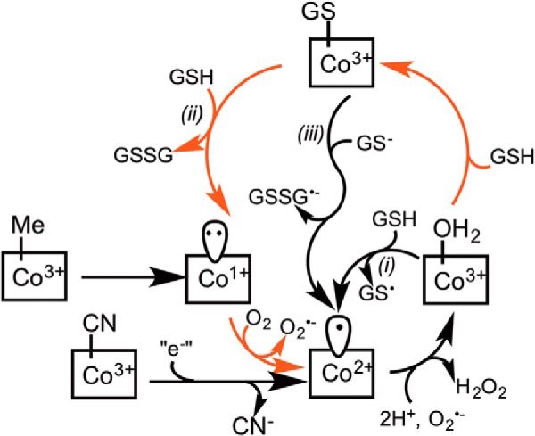 FIGURE 7.