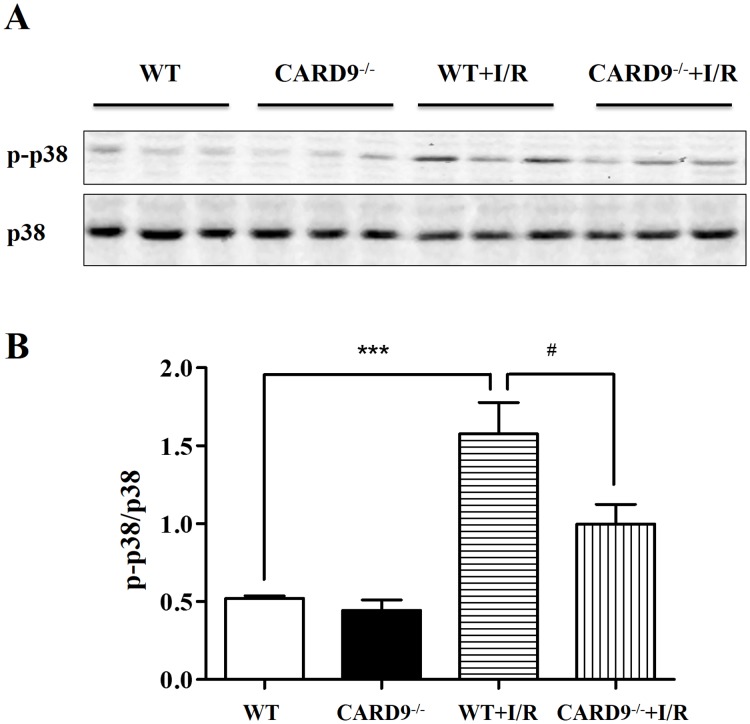 Fig 4