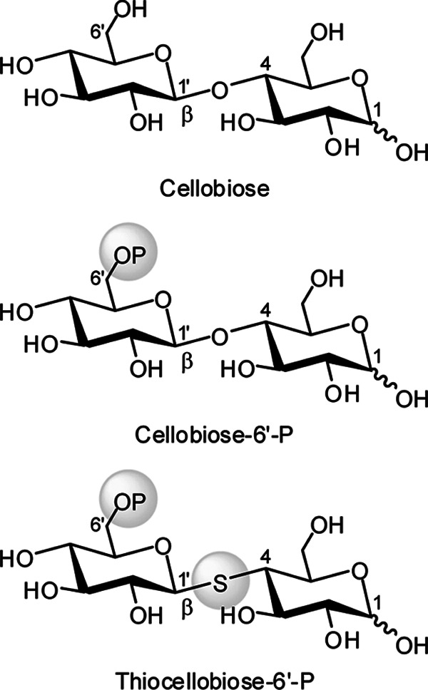 FIGURE 1.