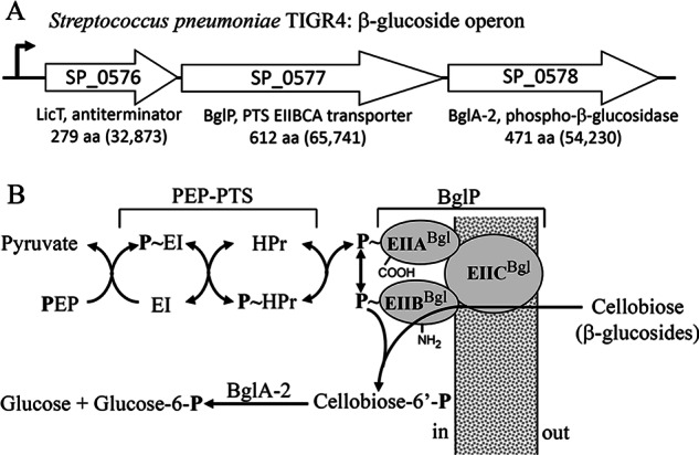 FIGURE 2.