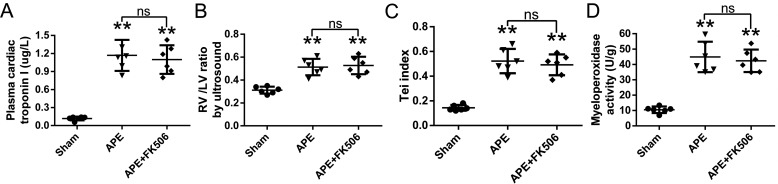 Figure 9.