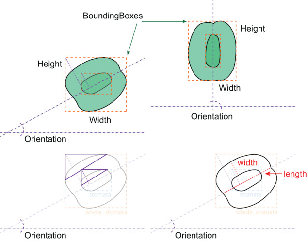 Fig. 4