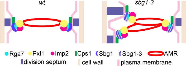 Fig 9