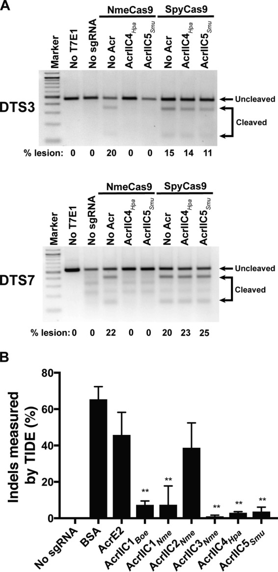 FIG 4