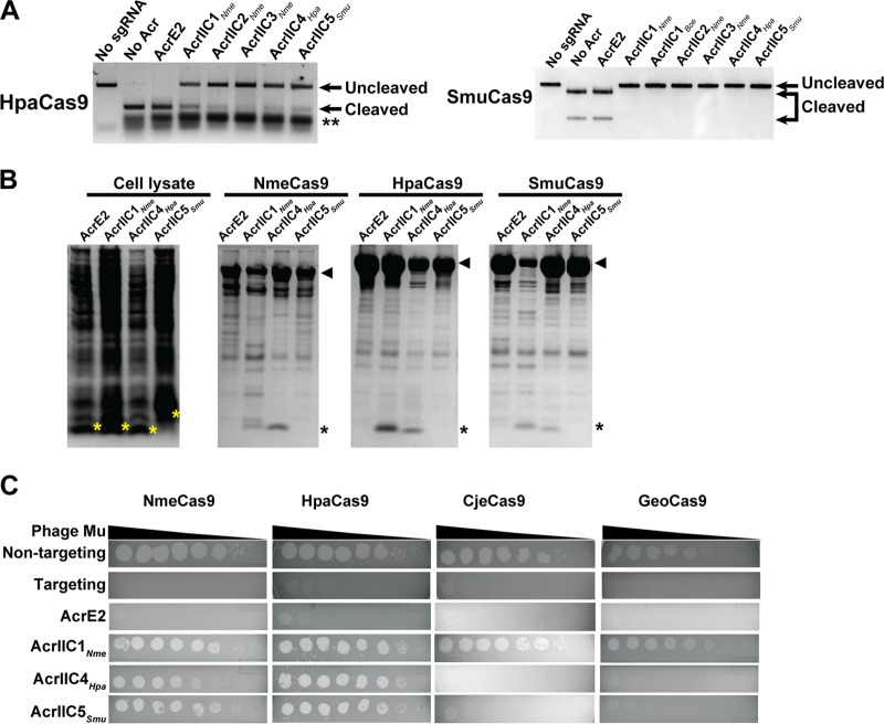 FIG 3