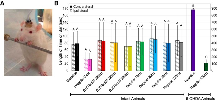 Figure 6.