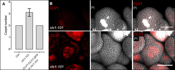 Figure 4—figure supplement 1.