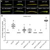 Figure 1—figure supplement 3.