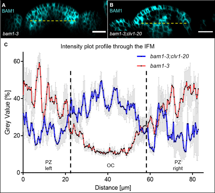 Figure 5—figure supplement 4.