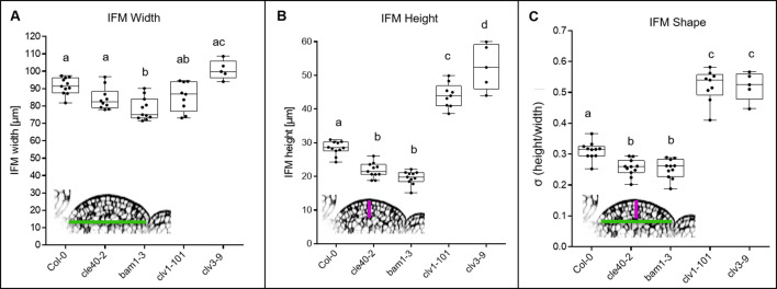 Figure 7—figure supplement 3.