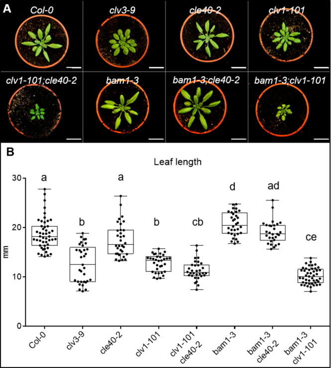 Figure 1—figure supplement 1.