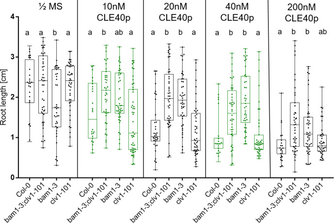 Figure 6—figure supplement 1.