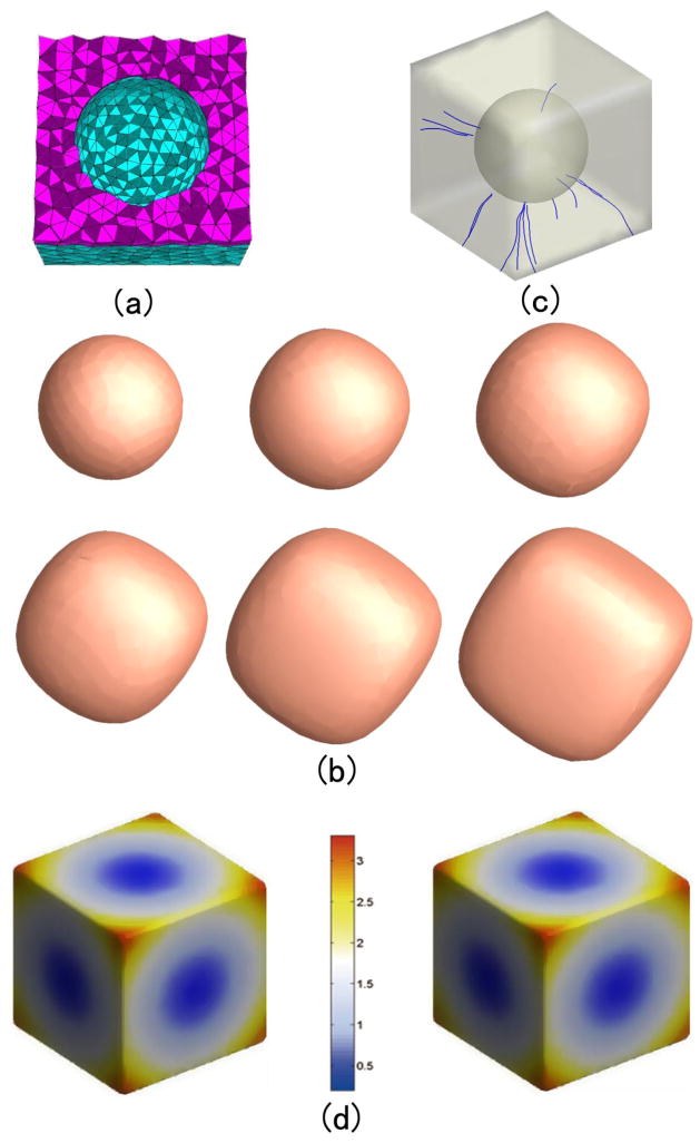 Figure 8