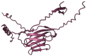 Figure 20