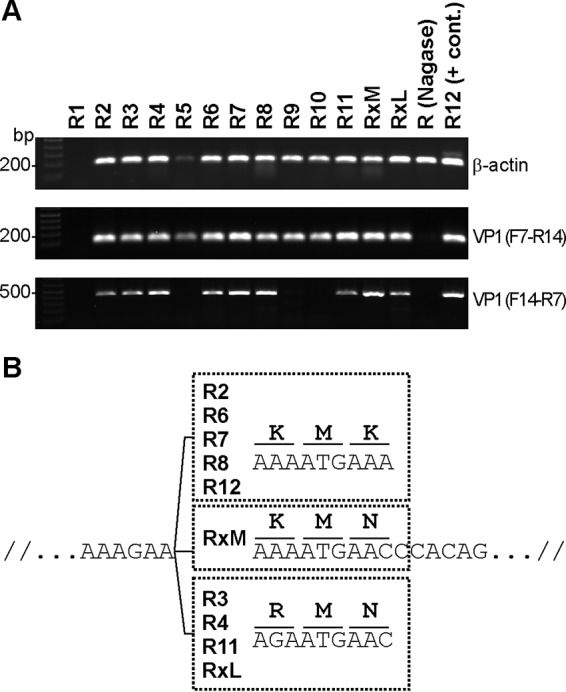 FIG 8 