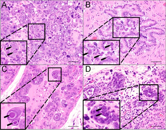 FIG 2 