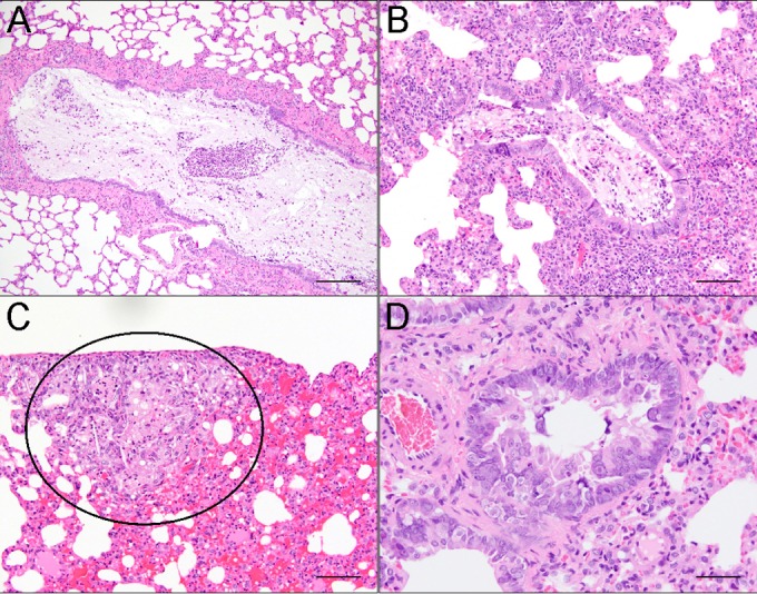 FIG 1 