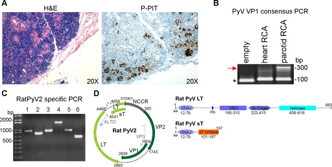 FIG 3 