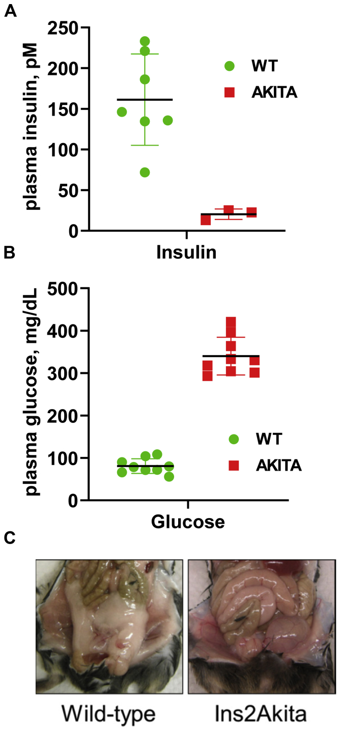 Figure 6