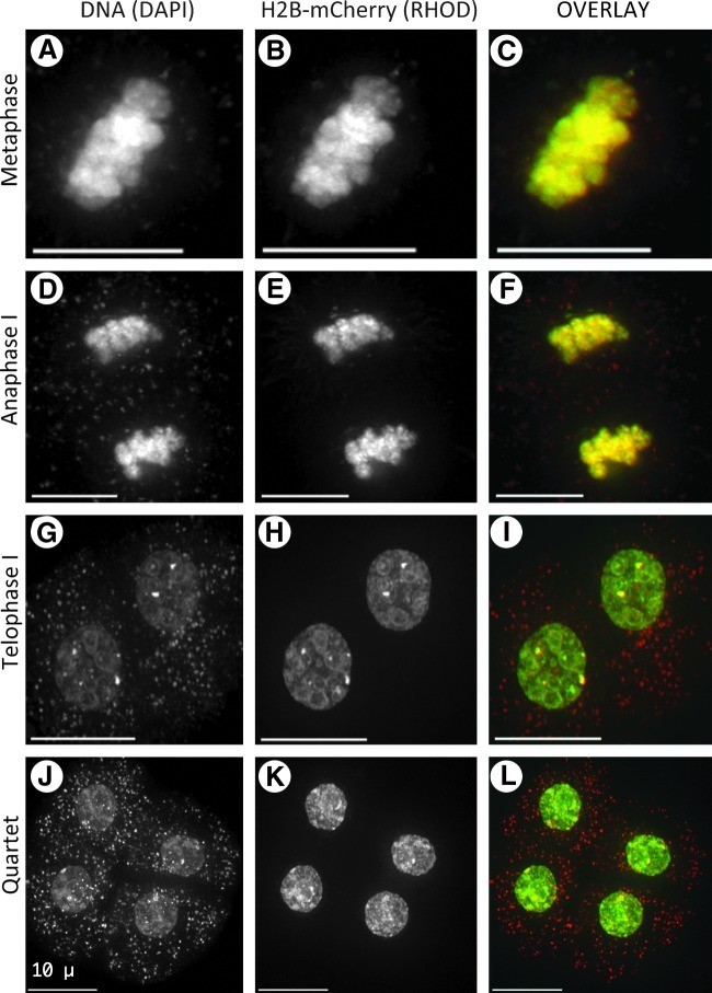 FIG. 7.