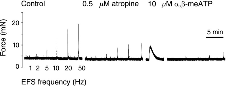 Figure 7.