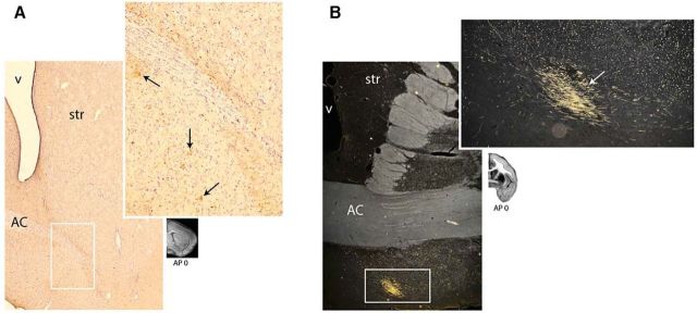 Figure 13.