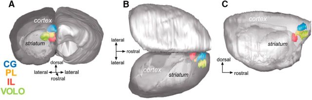 Figure 2.