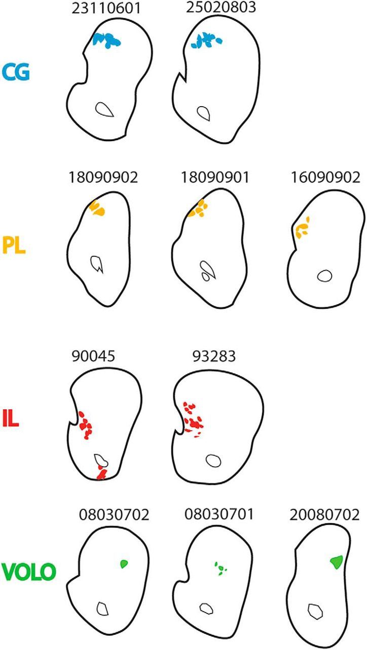 Figure 9.