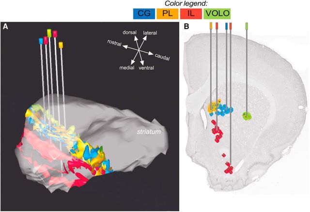 Figure 11.