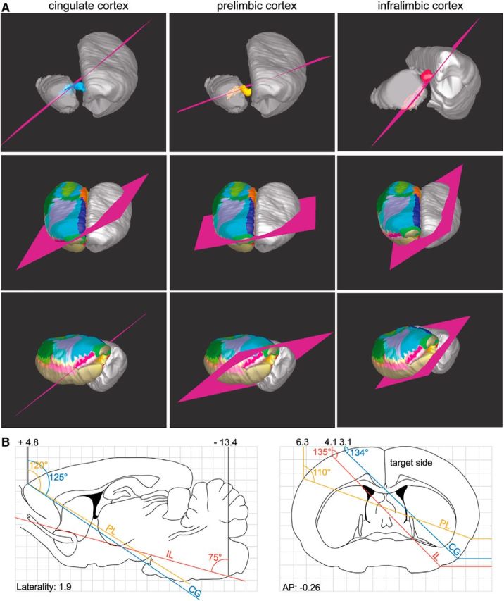 Figure 12.