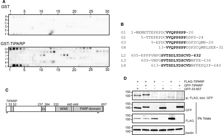 Figure 3.