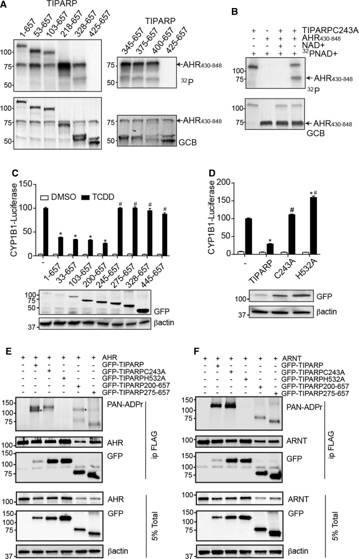 Figure 6.